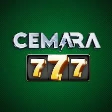 Aplikasi cemara777 Terbaru dengan Fitur Terbaik